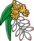 みるぶん